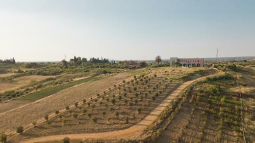 Hotel Torre Bonera. Green Resort