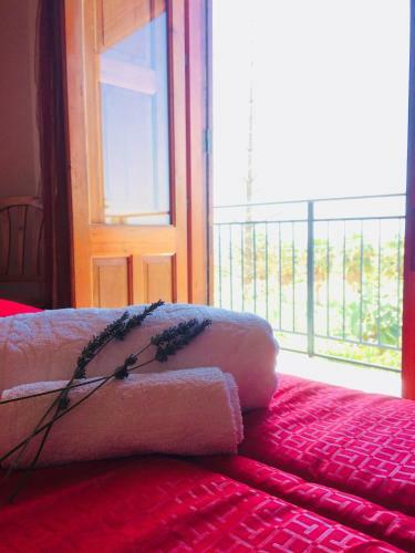Casa Vacanza Mariaoliva