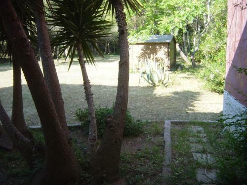 Agroturismo Tenuta Argiano
