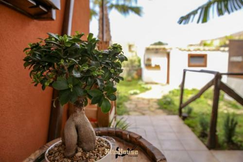 Bed & Breakfast Kite House Marsala Stagnone