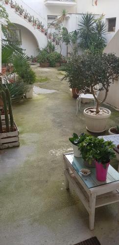 Apartamento La Culla Di Adeodata