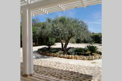 Villa A Due Passi Dal Fiume Sossio