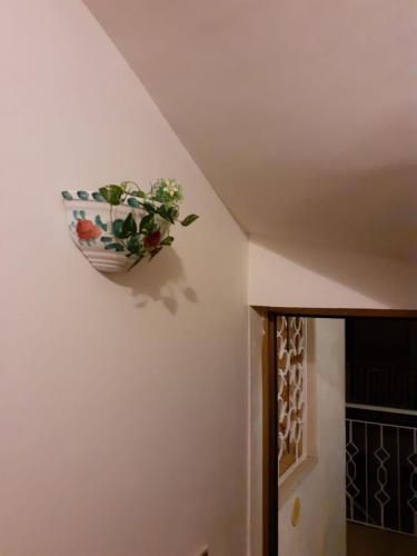 Damiani House