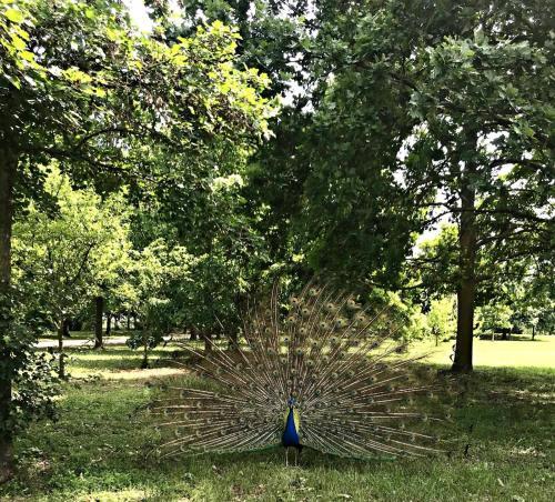 Hostal Appartamento Sant'antonio