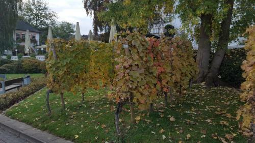 Hotel Bergschl�sschen