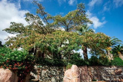B&B Villa Alba