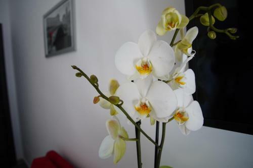 Serendipity B&B