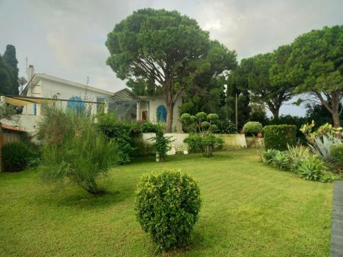Villa The Cliff House