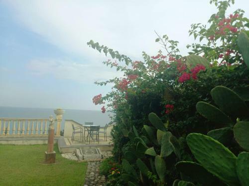 Villa The Cliff House