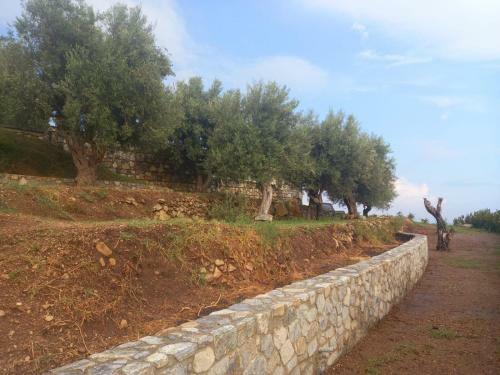 Villa The Cliff House