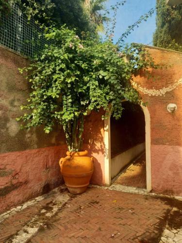 Villa The Cliff House