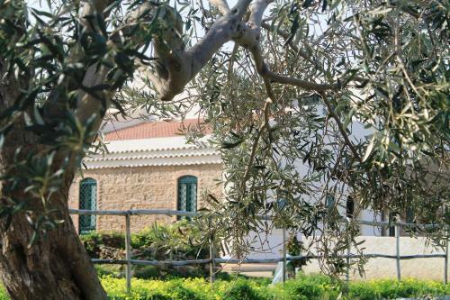 Villa Tenuta Rasocolmo