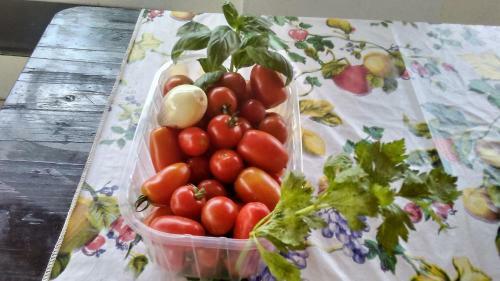 Apartamento Alloggio