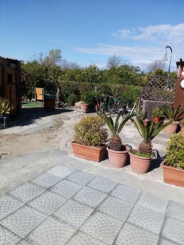 Apartamento Alloggio