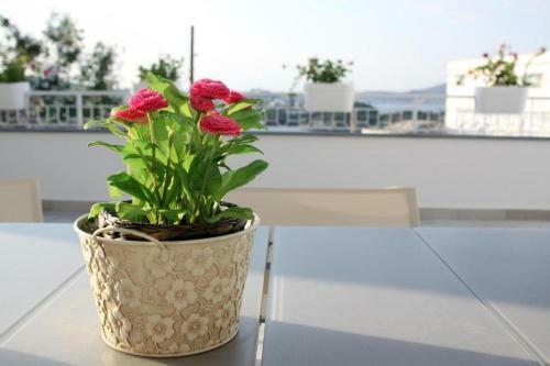 Luxury Apartment Misenum