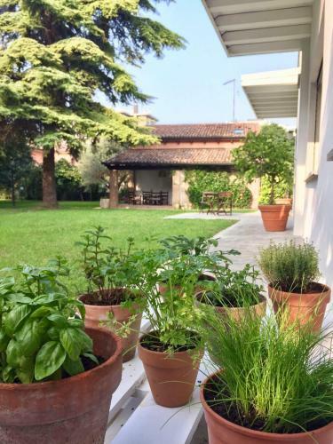 Bed & Breakfast Casa Lunia Guesthouse