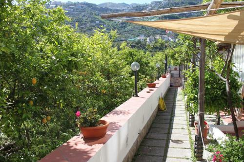 Apartamento Eden Holiday