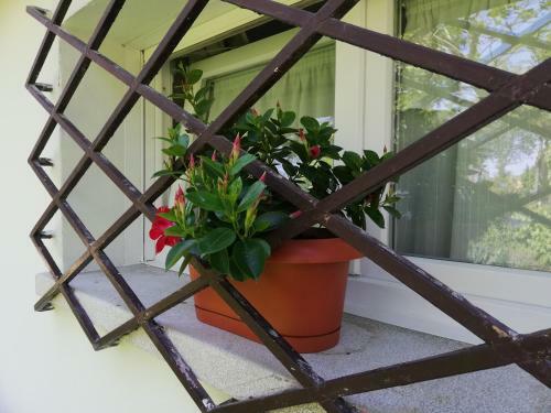 Apartamento Appartamento Le Magnolie 2
