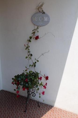 Apartamento Appartamento Le Magnolie 2