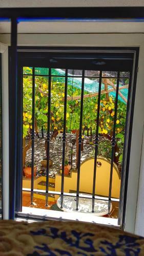 Il Limoneto Di Lul�, Holidays Among The Lemon Trees