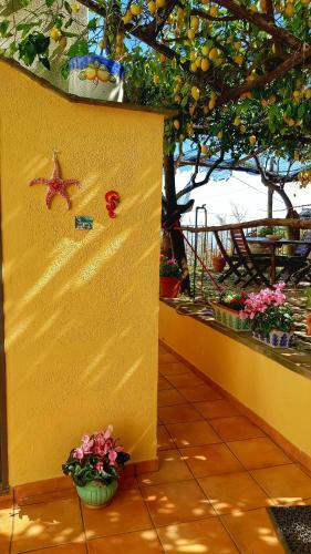 Il Limoneto Di Lul�, Holidays Among The Lemon Trees