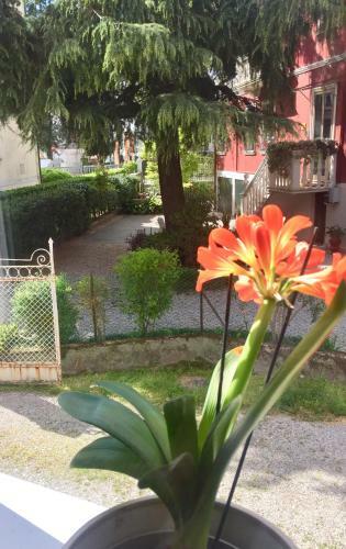 Apartamento Addler House