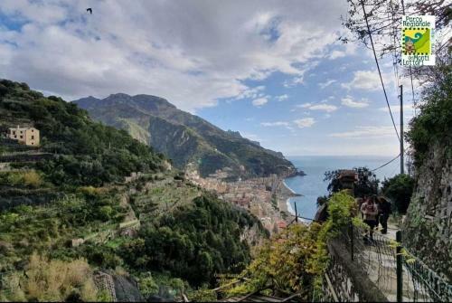 #la Limonaia Della Torretta