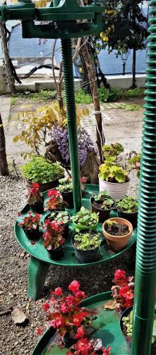 Agroturismo Takeamalficoast Patchwork Rural House