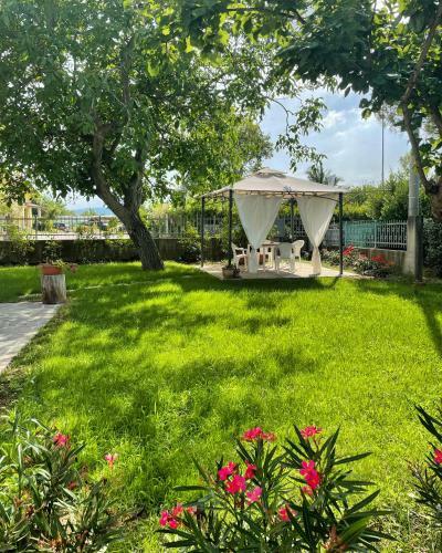 Apartamento Il Noce Appartamento 1