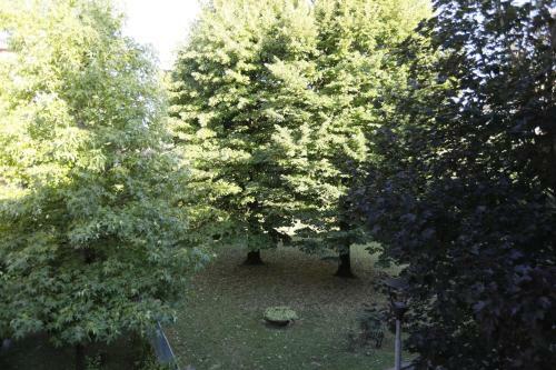 Pisacane61 B&B