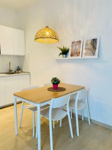 Modern City Apartment