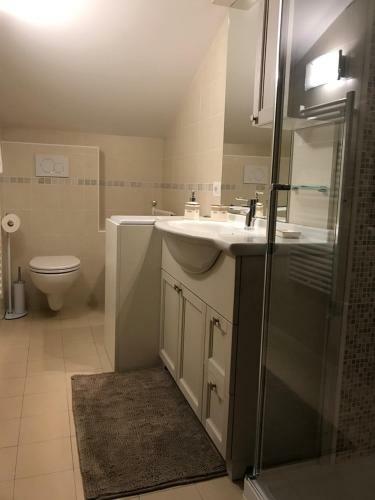 Apartamento Genzianella Mansarda Molveno-andalo