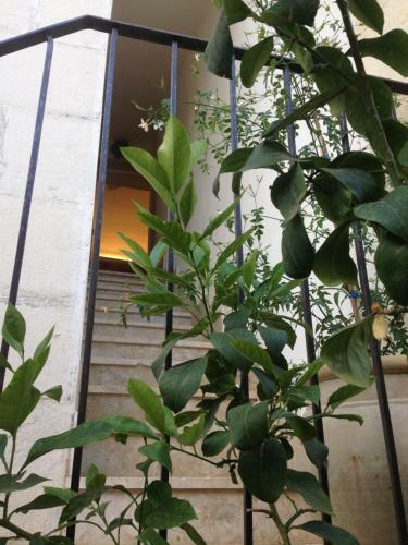 Apartamento Casa San Pietro