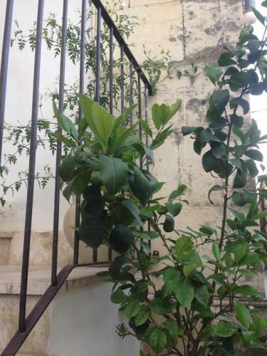 Apartamento Casa San Pietro