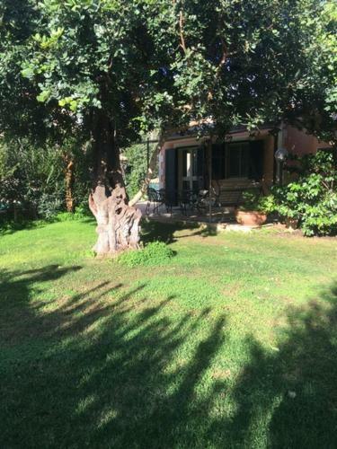Karrua Guest House