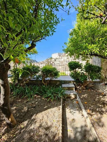Bed & Breakfast Il Giardino Dei Limoni