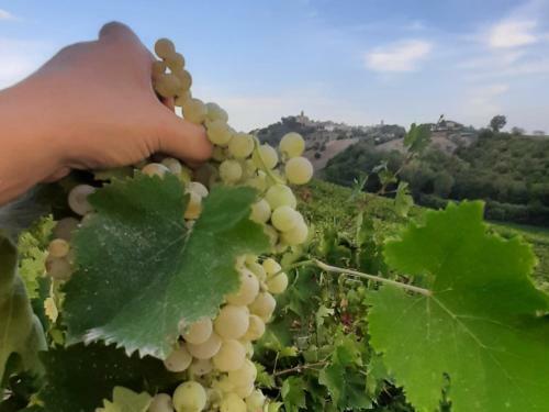 Agriturismo Magna Mater