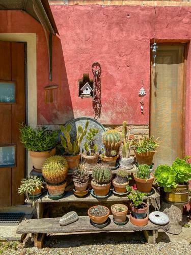 B&B Sant'anna 21