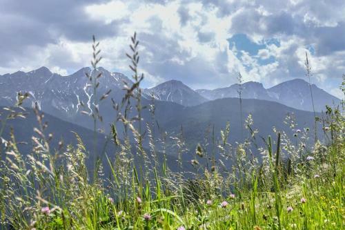 Chalet Wiesenblick