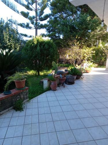 Villa Gelsomino