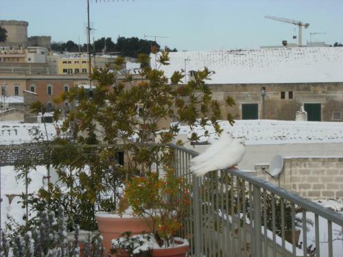 La Suite Delle Stelle