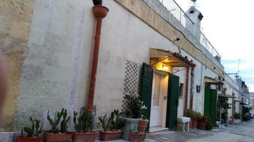 La Suite Delle Stelle