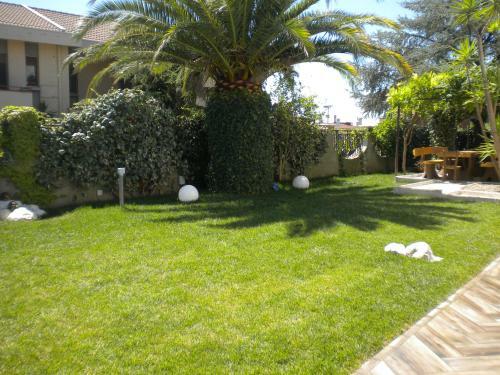 Domusangeladue