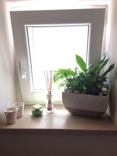 Bed & Breakfast L'albarosa - Camere