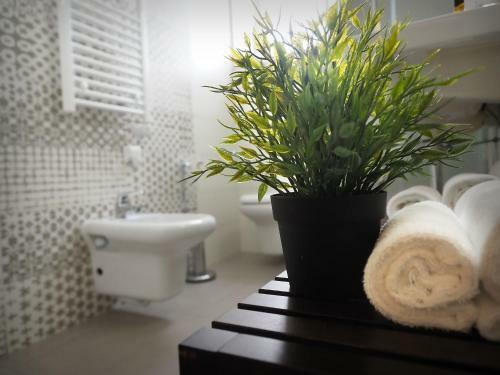 Apartamento La Casettina Nei Sassi