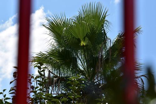 Villino 18
