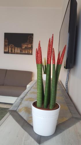 Apartamento XX Settembre Matera