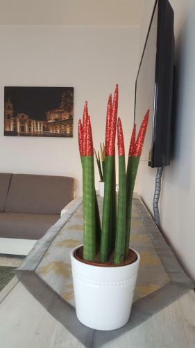 Apartamento XX Settembre Matera
