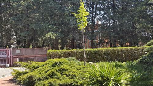 A Casa Della Scrittrice - To The Writer's House