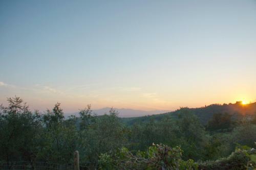 Bed & Breakfast Il Podere La Casina